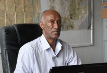 Eastern Africa: Control, Monitoring Key in Combating Locust Invasion