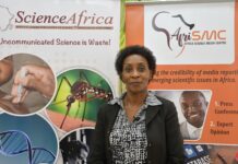 Explainer on cassava diseases in Kenya