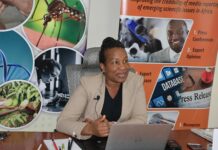 Explainer on the June-July- August season in Kenya