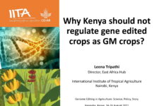 Press Release: Kenya Should not Regulate Genome-edited Crops as Genetically Modified Crops, Expert Says