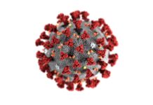 Explainer on why the new variant is called Omicron