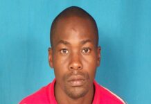 Expert opinion on placental malaria