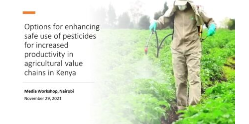 Presentation: Options for enhancing safe use of pesticides for increased productivity in agricultural value chains in Kenya